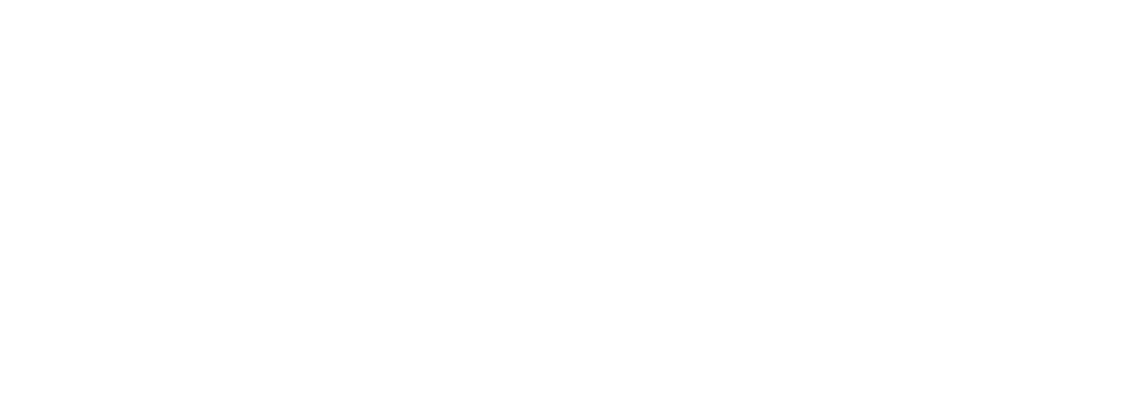 smart_logo_white2